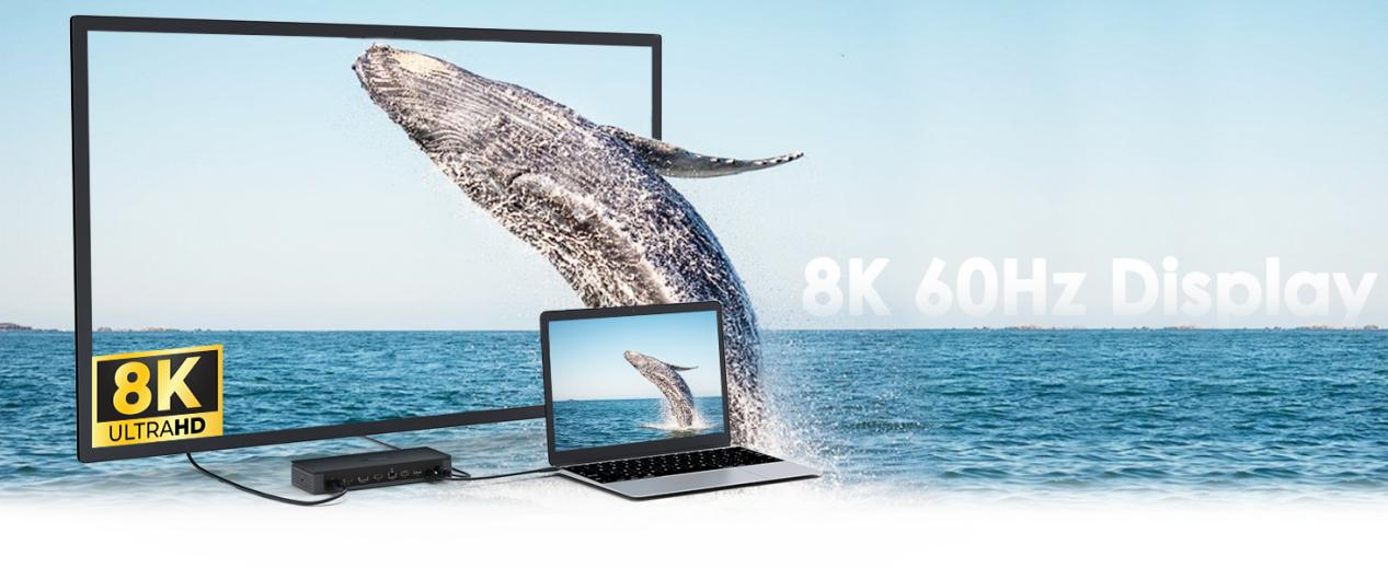 8K Universal Display Adapter