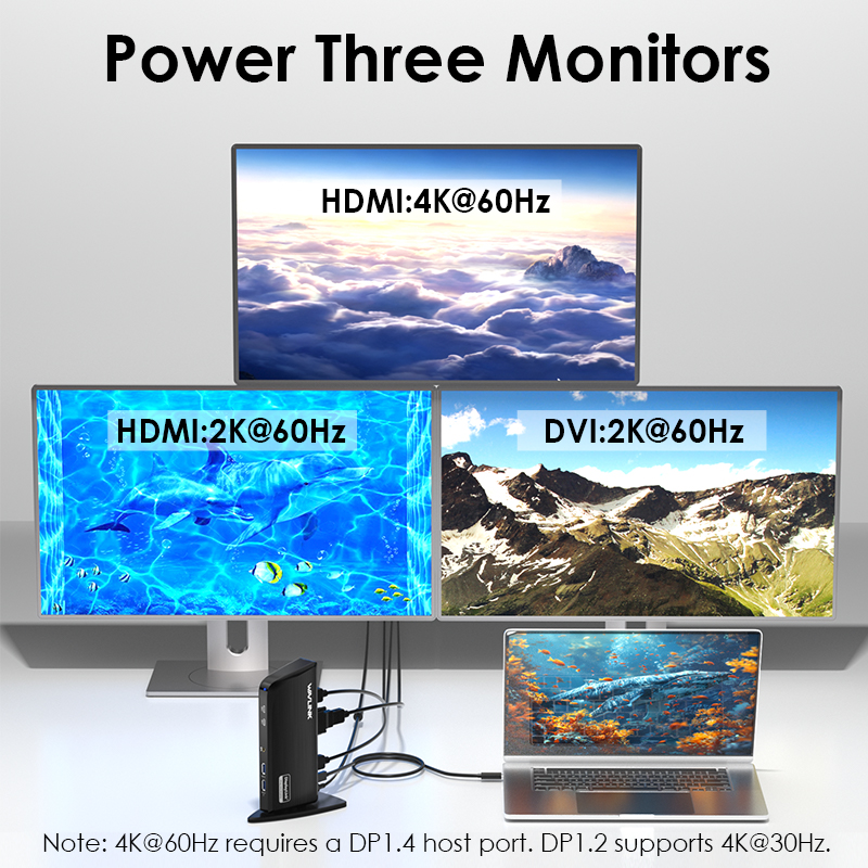 WAVLINK 13-in-1 USB-C Docking Station for Laptop, Triple Display (4K HDMI + 2K HDMI/DVI), 6&times;5Gbps USB Ports, Gigabit Ethernet for Mac & Windows 3